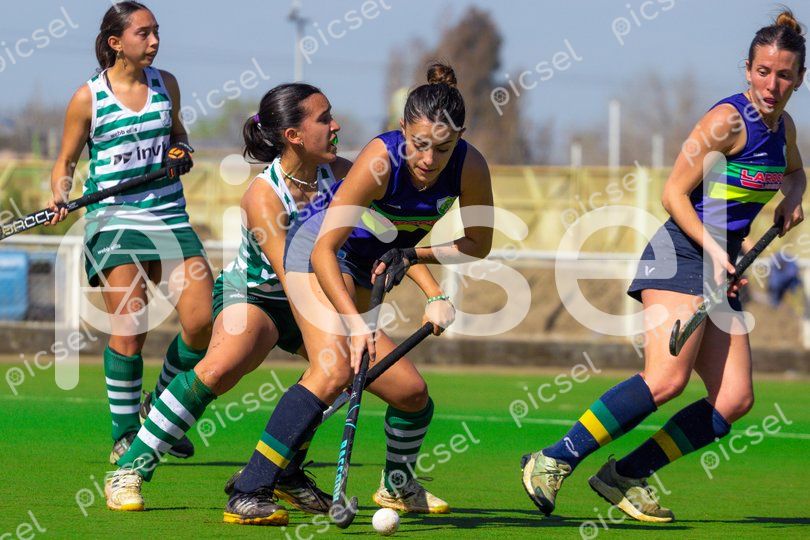 Photo of r8c6hkvu455nfotxlotzyhez
