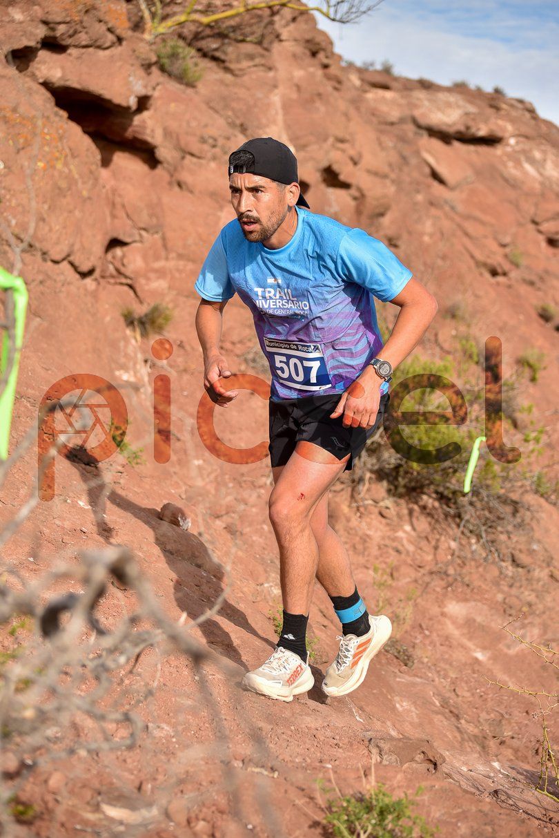 Photo of mlps7iis7evfdy96arwcu7ik