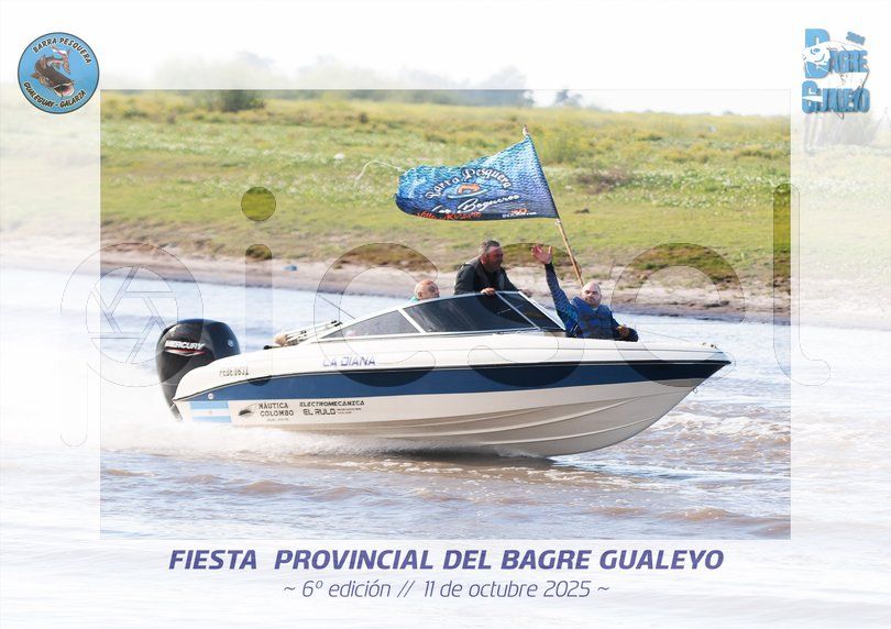 Photo of d62r6787nvqq5mfbkqrnbbj6