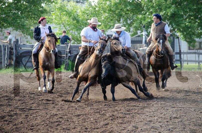 Photo of xujh3u8l0c1g7hevzegfx48k