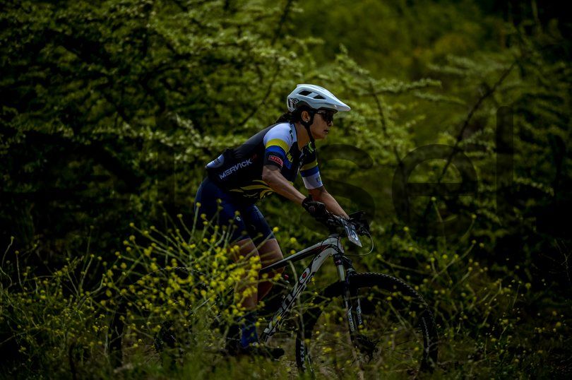 Photo of y515kvq07xpw537u5hoqd02j