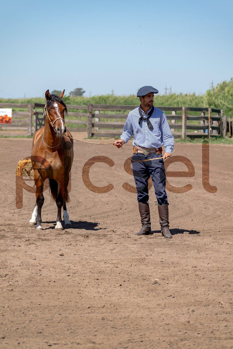 Photo of rvkazxl6sngdjfdbt2yqijvd