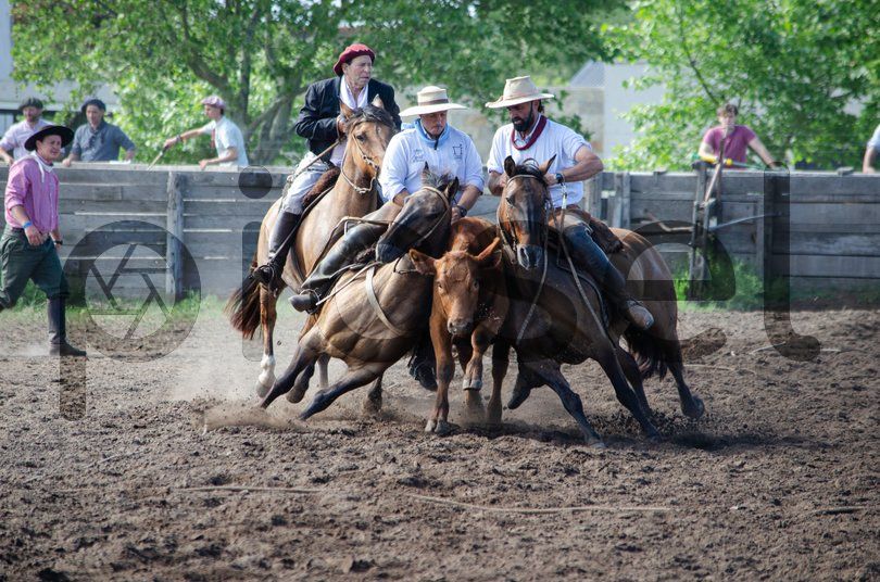 Photo of lj0pk00z9x7nbxwyinjht7yz