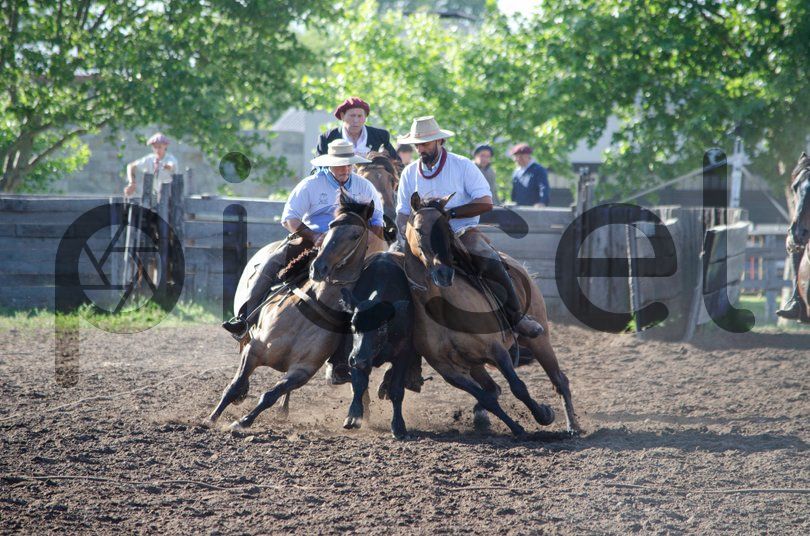 Photo of d3e84afep37y0azygc6bgkxz