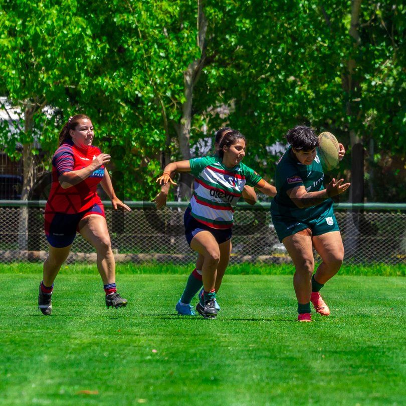 Photo of wfu9wbji3knmx01jl15at7ek