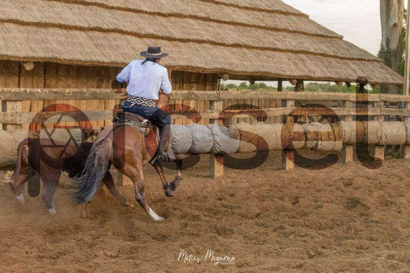 Photo of sk2xv8534kghm9v2pso7wl3l