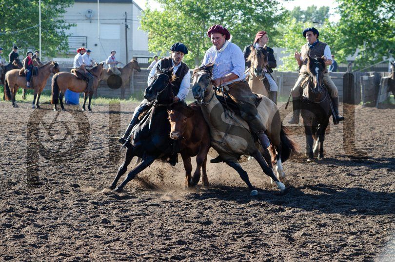 Photo of uplhwv52favv77se24lvqwnx