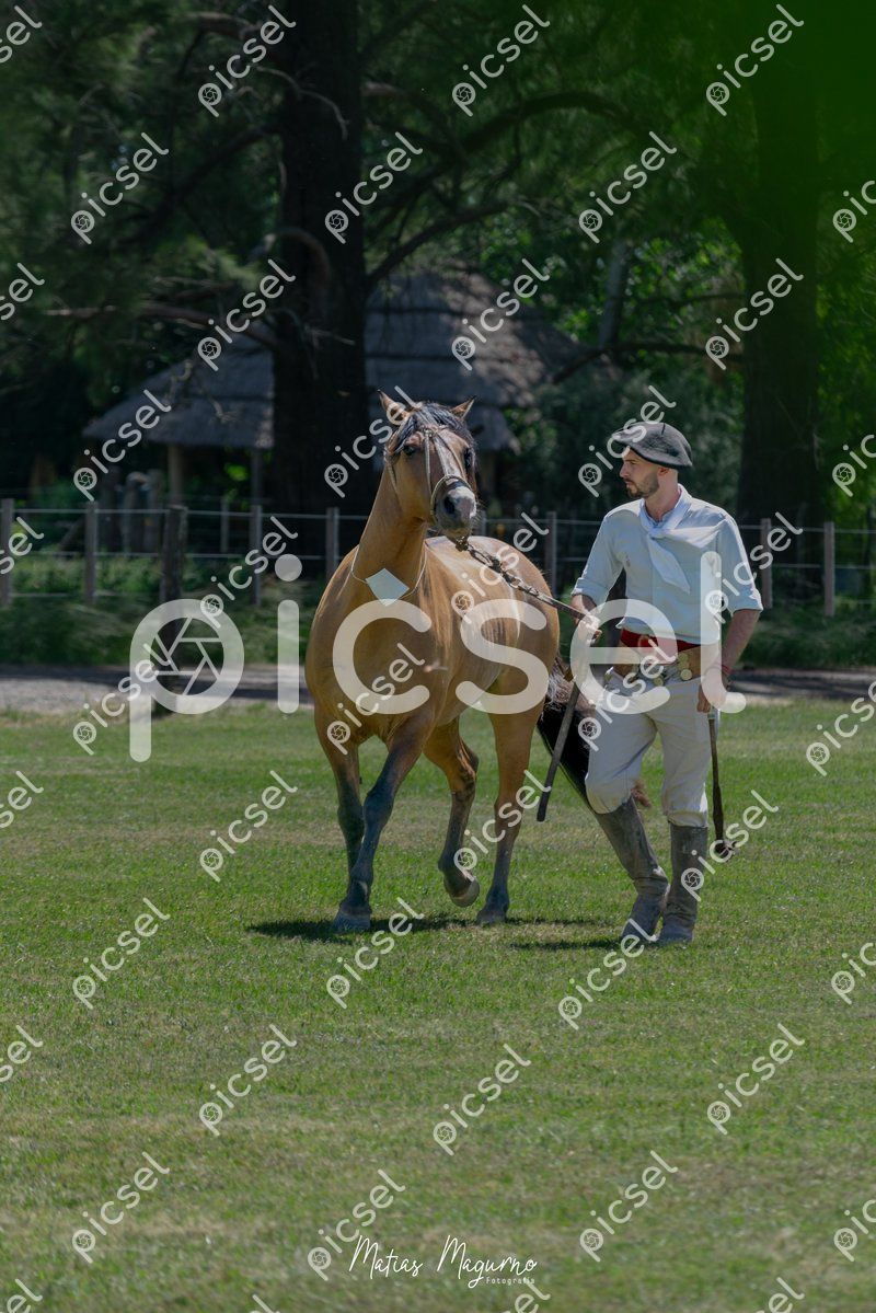 Photo of nh9yjhggvu5dlyggu7qc15n8