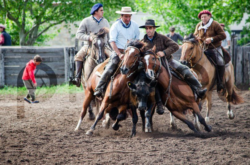 Photo of tkgd7s05jk9drujk1w5bvqp0