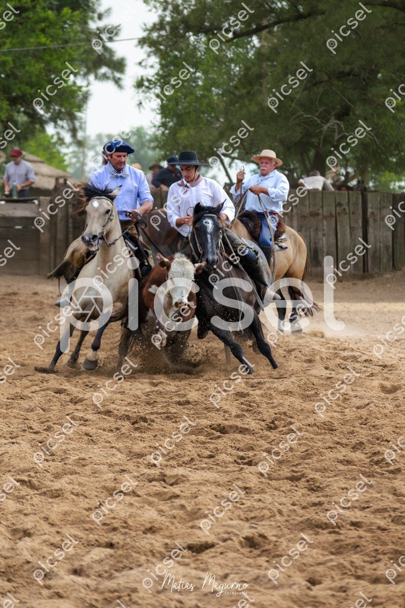 Photo of m083z6ria4fxect3xegufp1b