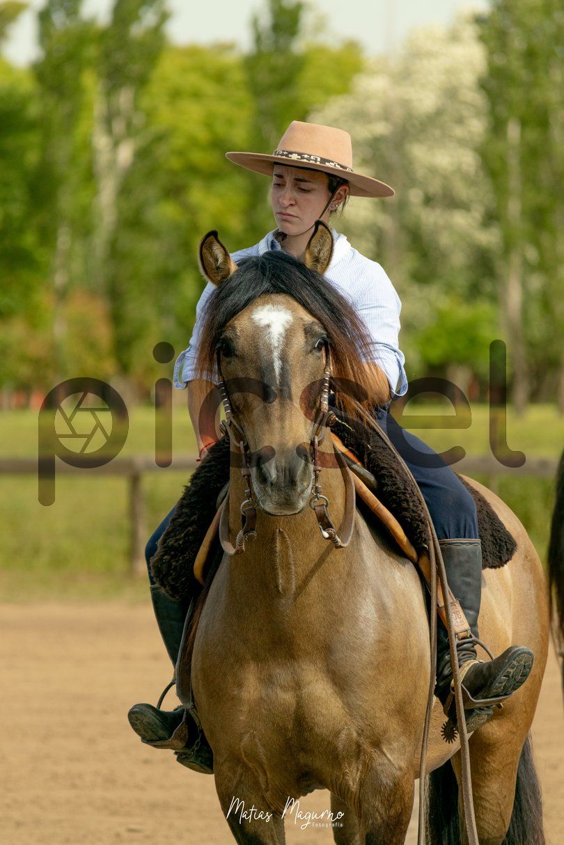 Photo of i8wn0j5ekfb01wgo8vmzd3z6