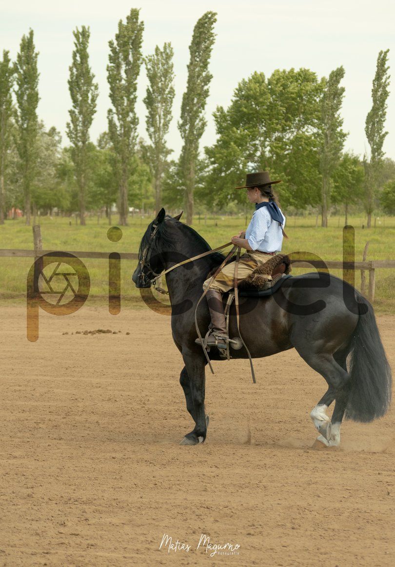 Photo of s63xzp0ag48yc84e5fbiq00n