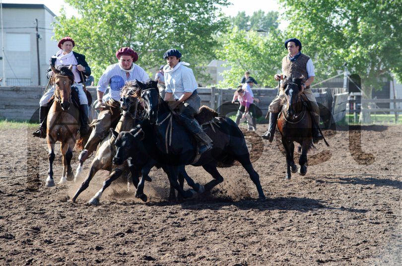 Photo of v4q3b1nkf9km03fp0k12ale7