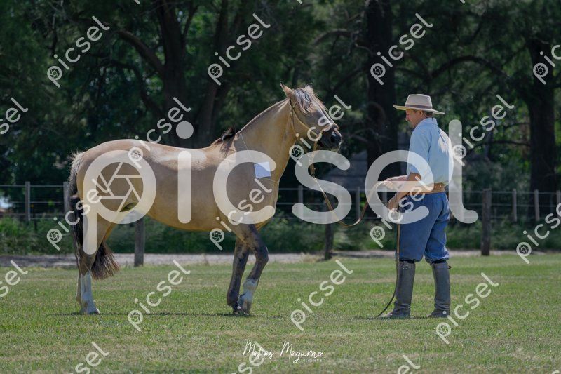 Photo of de76g2m65fz28scsea2fw32q