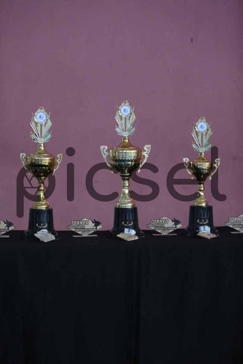 Photo of ifpwi2k1vjpd5ko6n85qz688