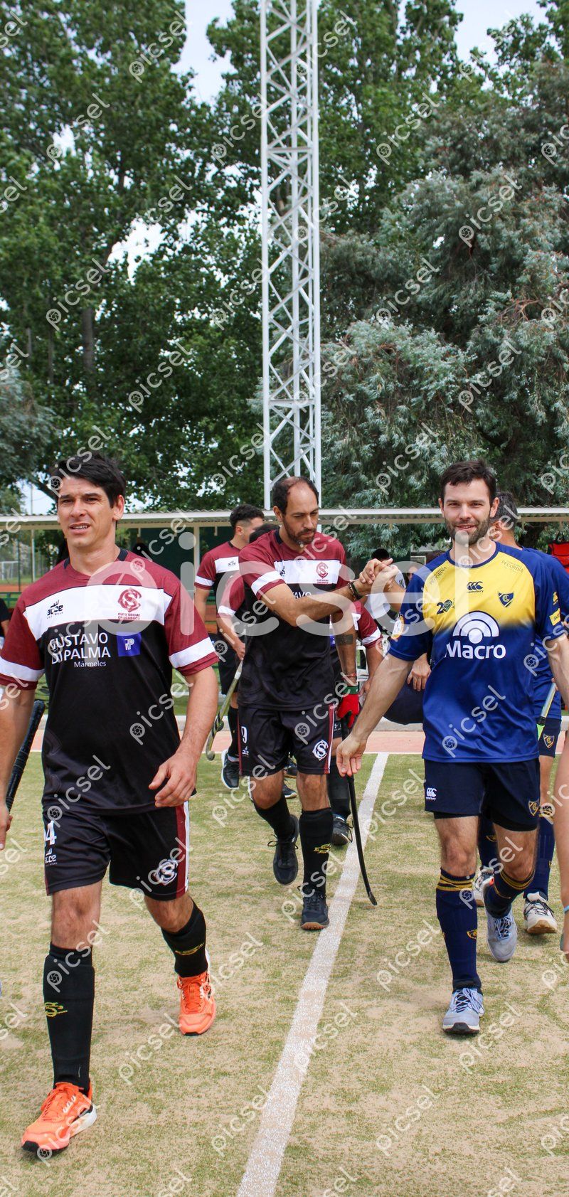 Photo of tyyu28q0747b0l7mzg12jv4m