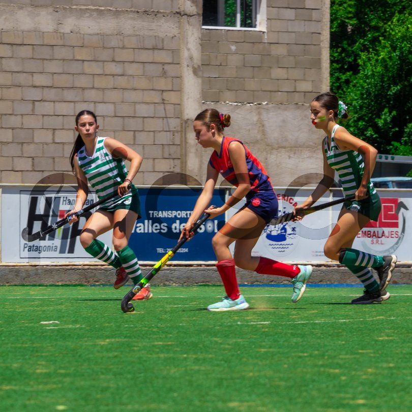 Photo of o0zvlft3k3gtkbefb851w16i