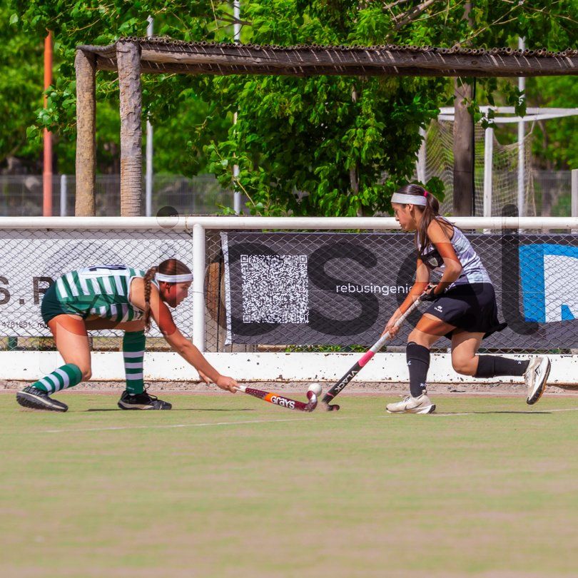 Photo of s272vtzl4287dke17qvgp4kg