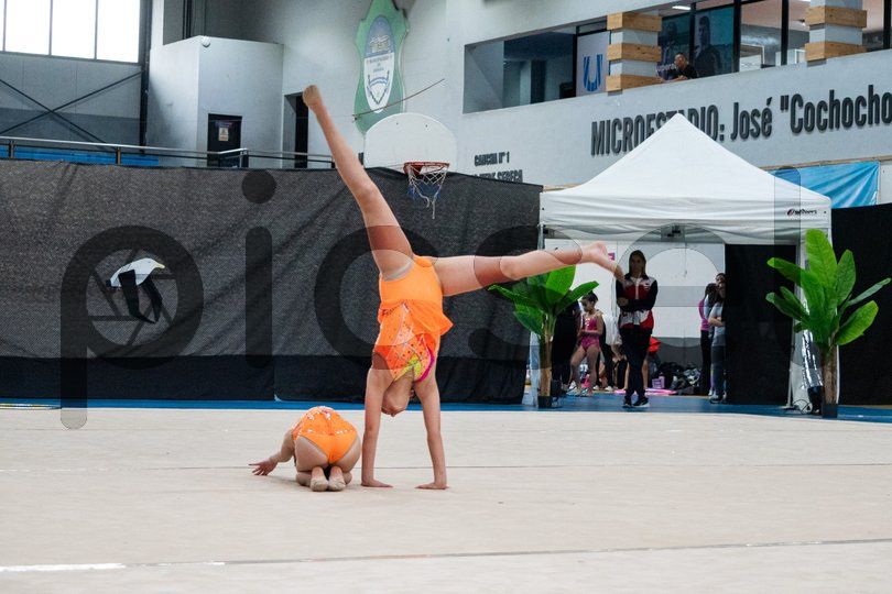 Photo of a962761e4ex2ied7i9shxmf8