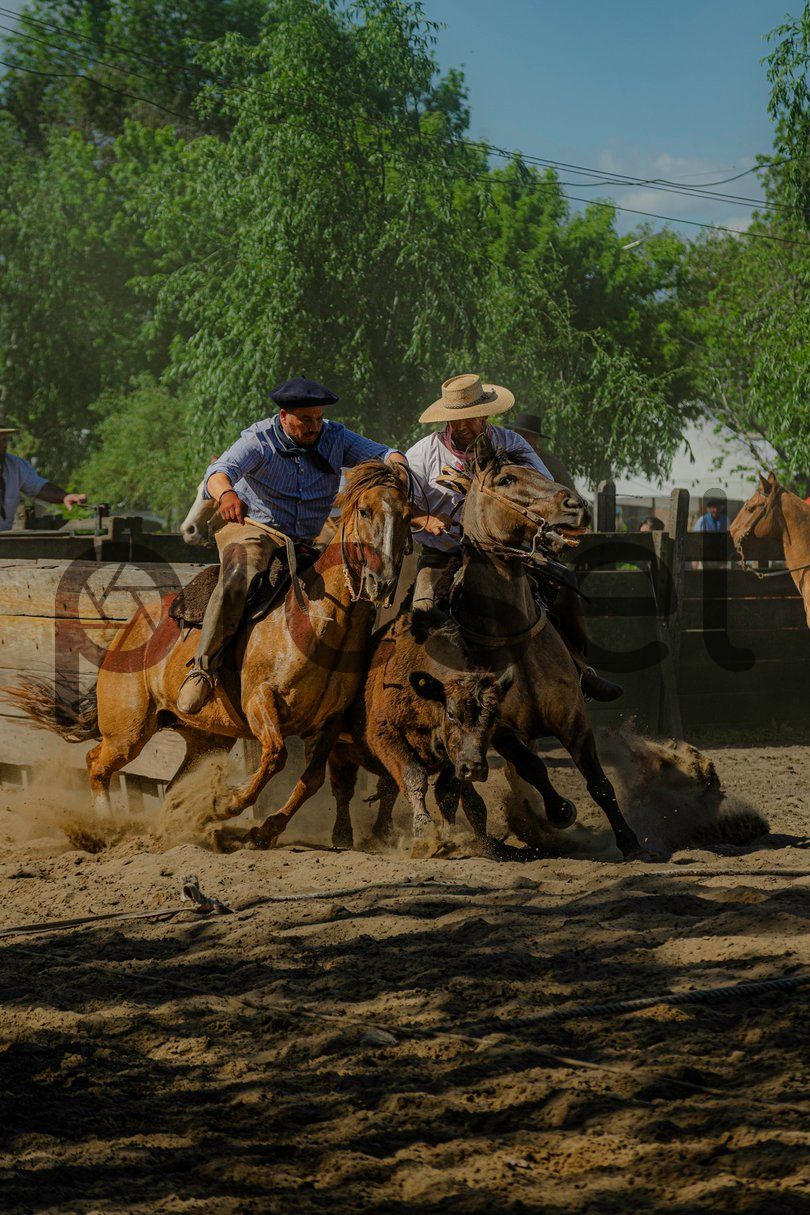 Photo of ir4i2ne1tjytdzdmv89eg9j3