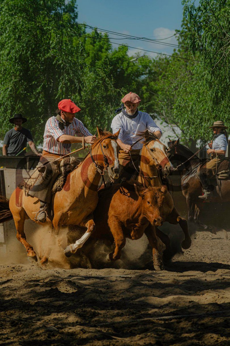 Photo of phuoyn6kgc5w4ageifj5a6sp