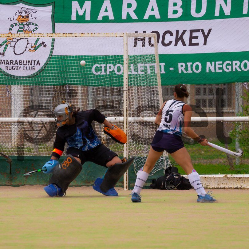 Photo of wagwelni6cbe1icyp2ptkcfm