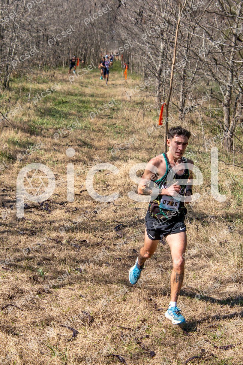 Photo of lacz8ytahg0nh4iqm0a6vxf1