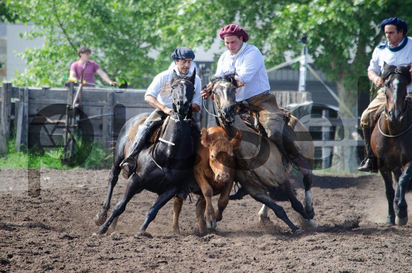 Photo of tmzqw4hcyjug5dh5dh27g71x