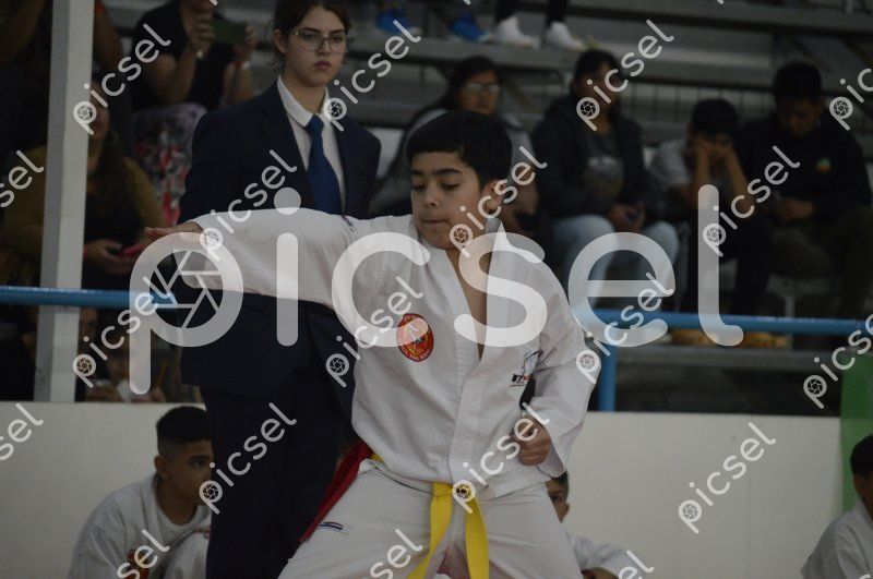 Photo of br7vq8w5bx5422dv4wc56gp9