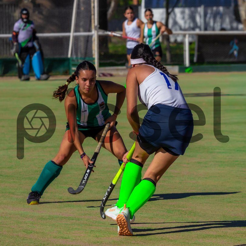 Photo of n2svkp17669e2292vc976n25