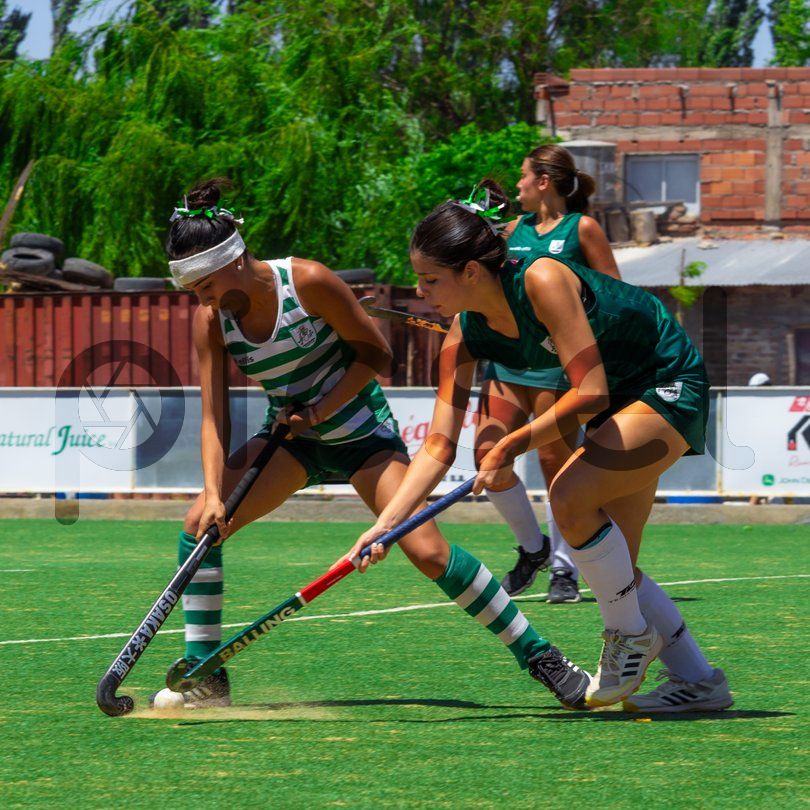 Photo of emkzj1rteklasfh1u831o1z5