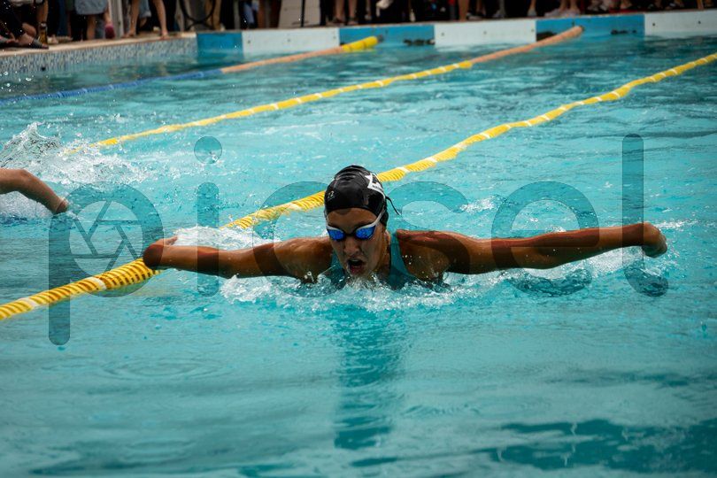 Photo of hnsxmogoh6vmqjzo5jshqpl9