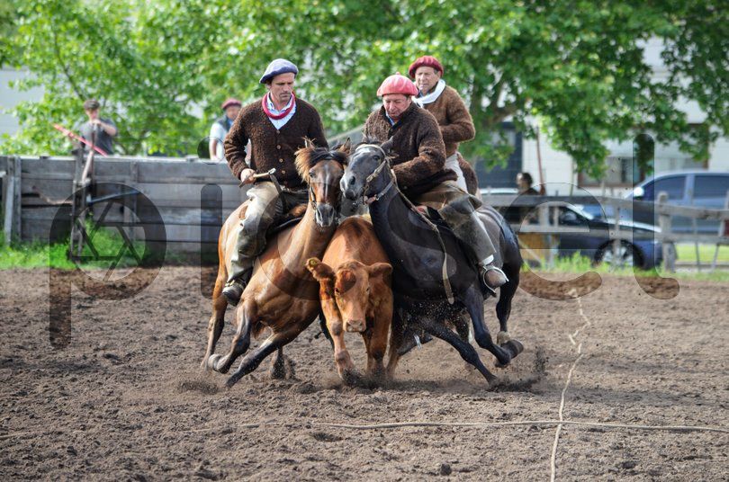 Photo of e7h29gzxxexjto7tm0a82gmp