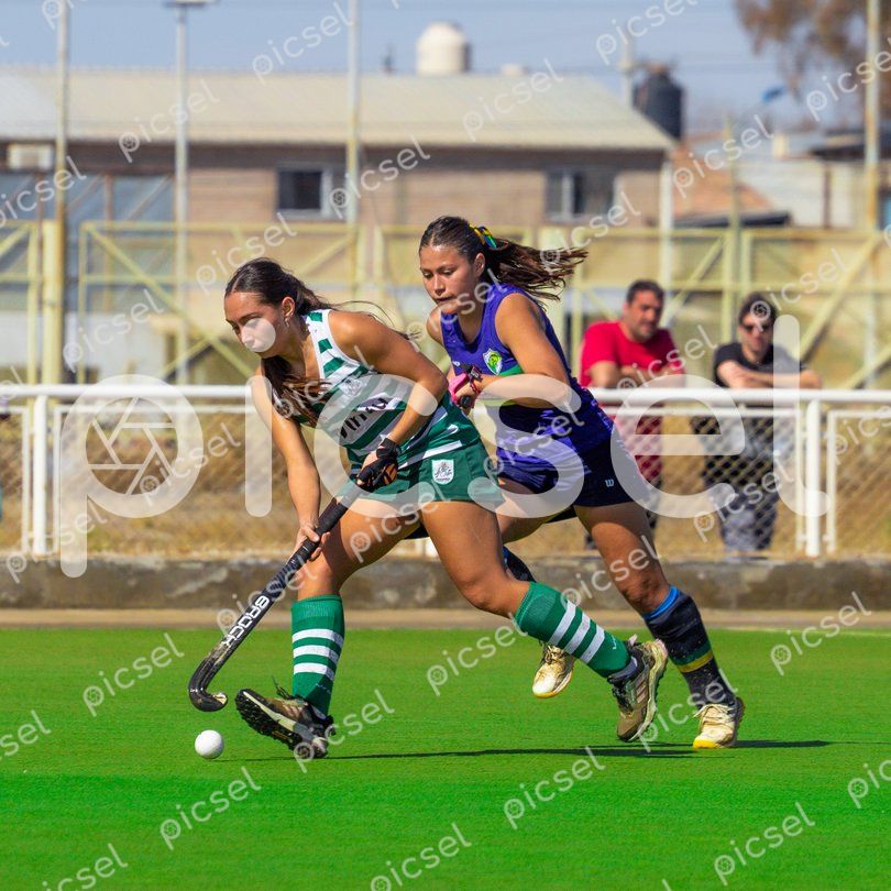 Photo of icpdmwl8763biyuv3pnk6ejv