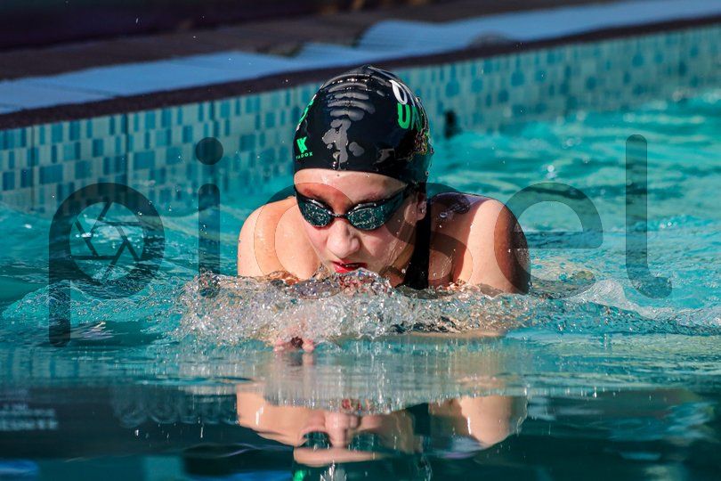 Photo of zel6pn585ibf2p74wyk2y950