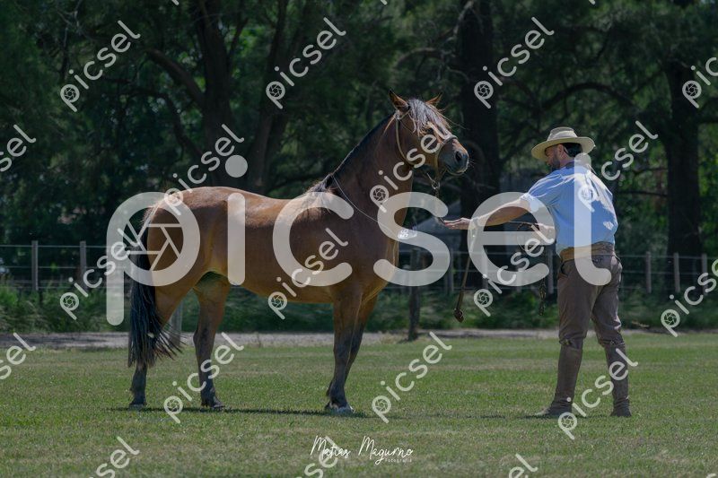 Photo of bm988klyal9gikgvqfj2aipt