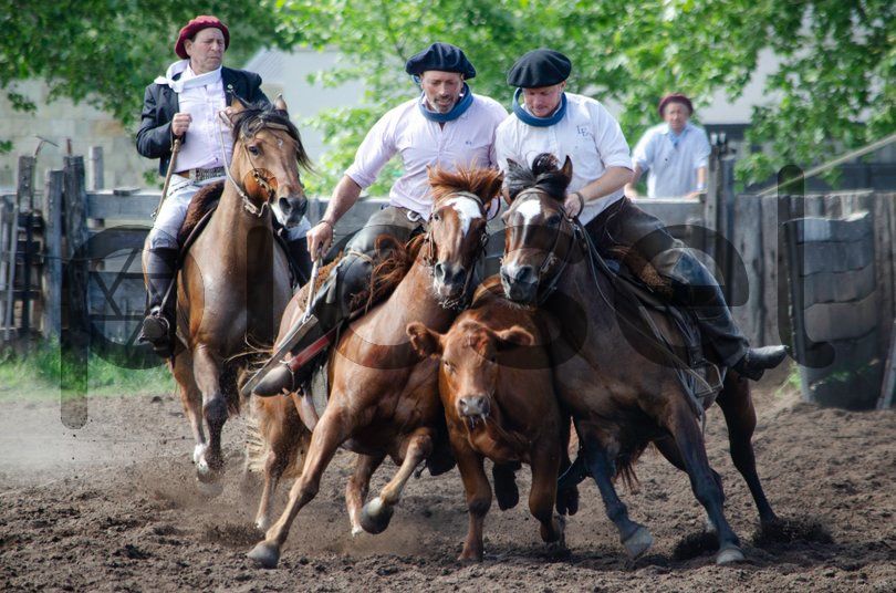 Photo of ru55lf2o6kiu8vouilv06olu