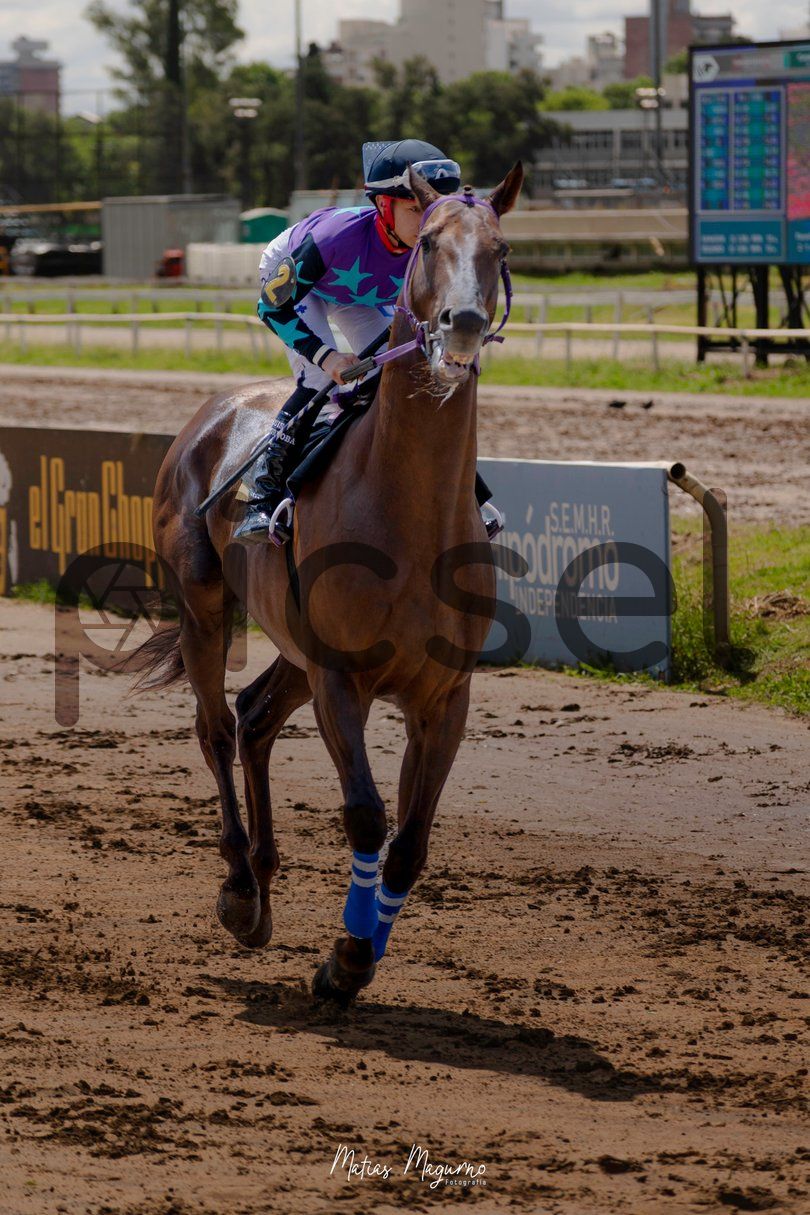 Photo of mlpi7v0ltzv39liqrk0f3jcl