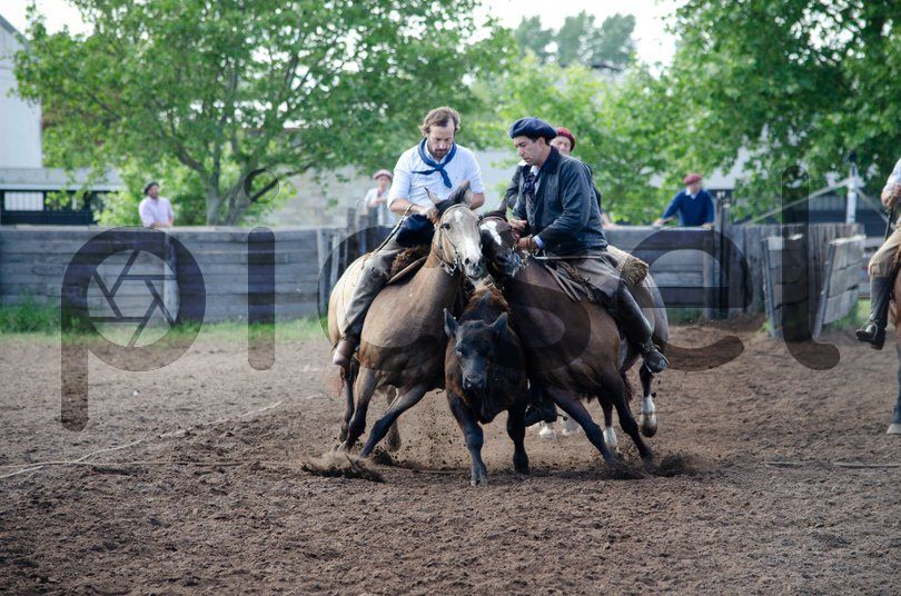 Photo of dtnul5nm1zcv6hb6efbiik5y