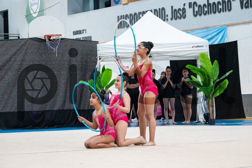 Photo of g087plq4erg3qsidr9gkd8sx