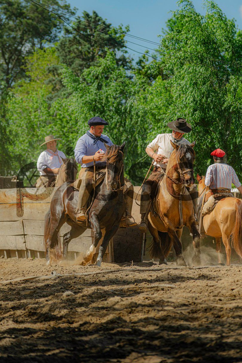 Photo of pvw06jmp0yhyjc6zg4cgkrm2