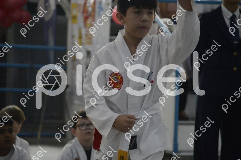 Photo of c4kafosi56y0fqpik3qmgr3p