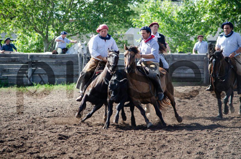 Photo of giqeado31f6sh4o1rb2eblb4