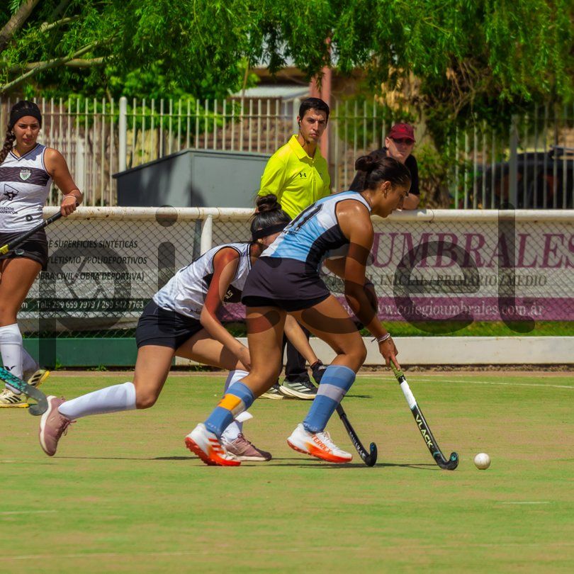 Photo of m2nvz4dzm803eskdaz4a3rd8