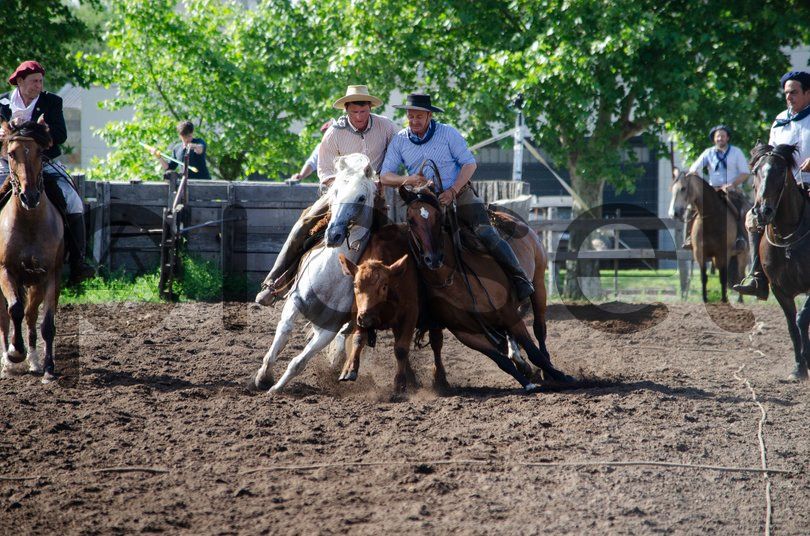 Photo of exhiw8jfi3lg7g9i3egr4put