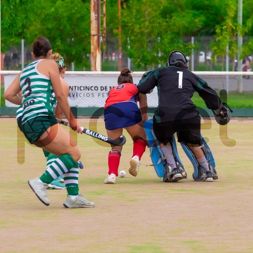 Photo of sjskuv0l3bt2z6bcht8q594o