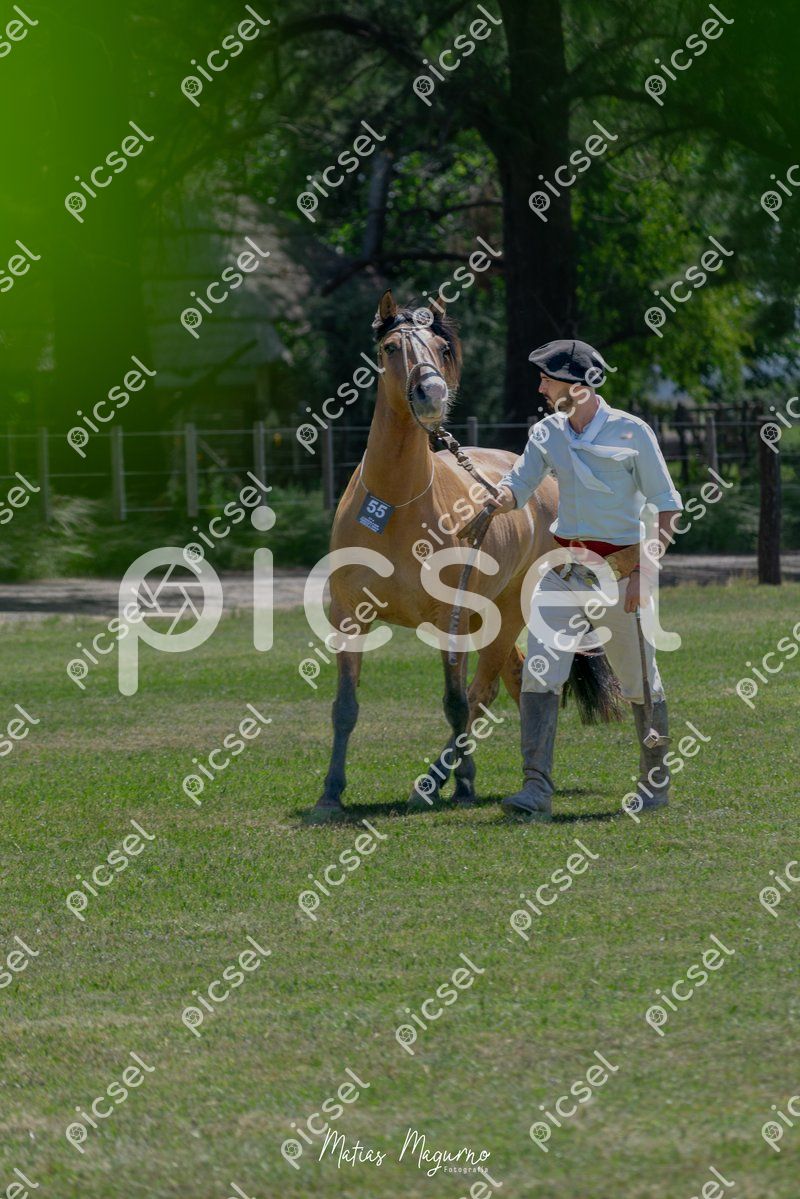 Photo of gv4ey6wsahi8wkvgue57ejlf