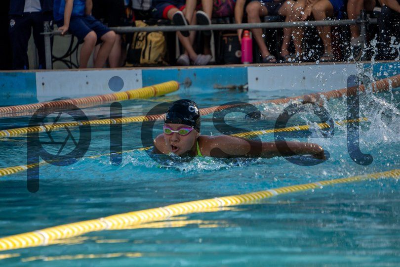 Photo of q6rzgpqsrsul7ndlrw2m0hh7