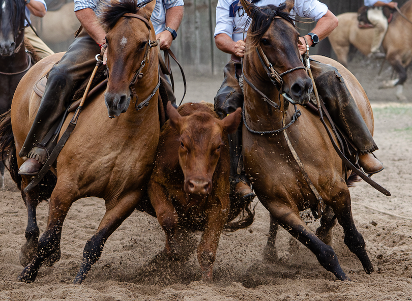 Semifinal Handicap Sábado La Baguala