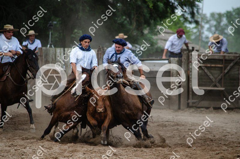 Photo of xvycyc4bwmx7no4j7jqkvn4l